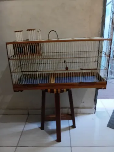 Gaiola Voadora De Reprodução De Pássaros Com Combuco Removível Madeira Nobre 37x71x25cm