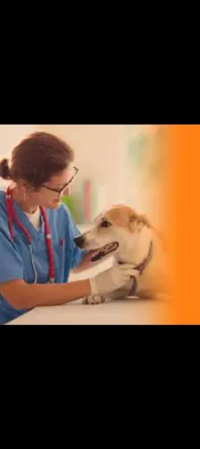 PROMOÇÃO: DE CASTRAÇÃO, APENAS: (150)