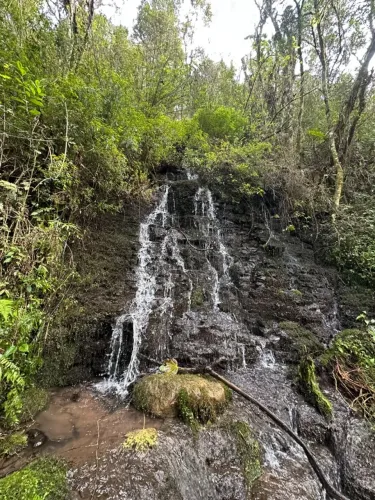 Terreno com 16 hectares à venda em Urubici-SC, Rio dos Bugres