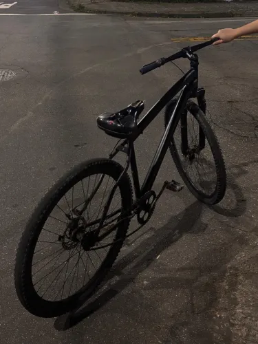 BIKE ARO 29
