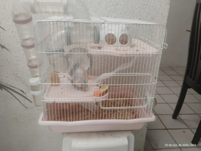 Gaiola para Hamster 