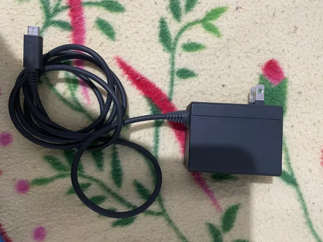 Carregador Nintendo switch