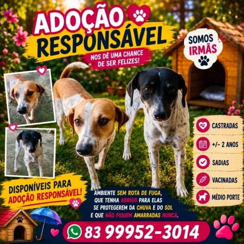 ADOÇÃO RESPONSÁVEL