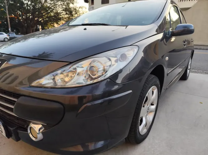 Peugeot 307 Soleil/ Presence 1.6/1.6 Flex 16V 5P 2010