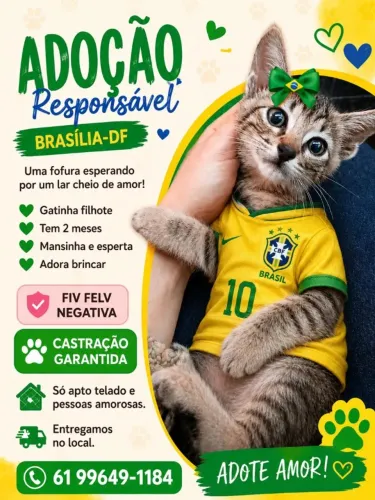 Gatinha filhote CASTRAÇÃO GARANTIDA