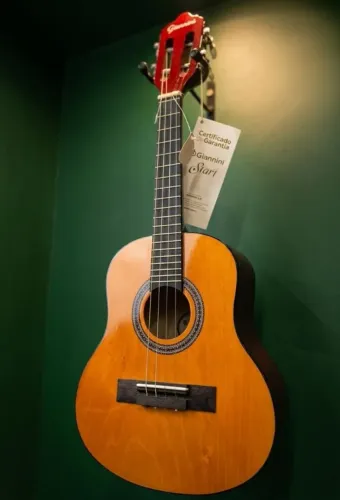 CAVACO GIANNINI CS-14 EP