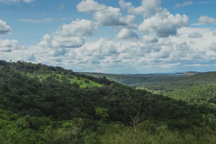 Fazendinhas de 20.000m2 em Condomínio Fechado Perto da Lagoa Central
