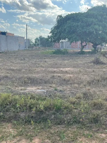 Terreno 7x20 na asa branca!