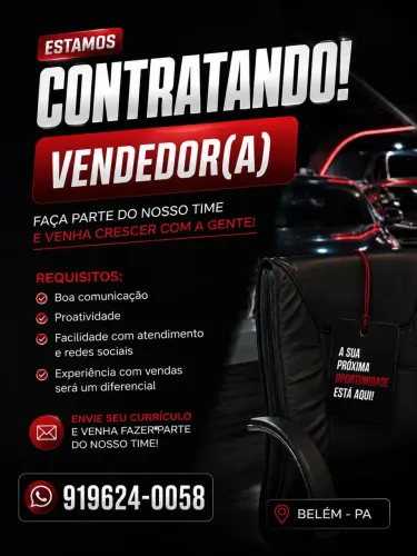 Vendedor de Carros