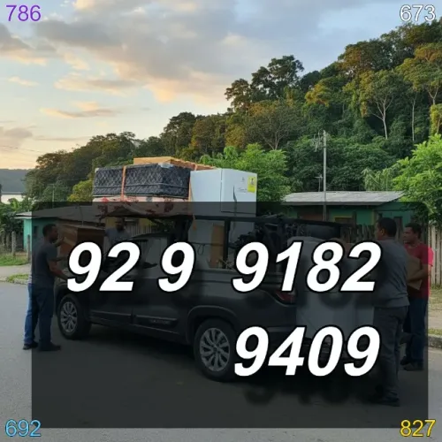 frete para manaus com rapidez e qualidade na entrega