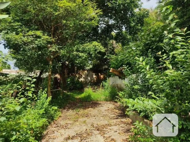 Terreno para alugar, 660 m² por R$ 8.884,82/mês - Butantã - São Paulo/SP