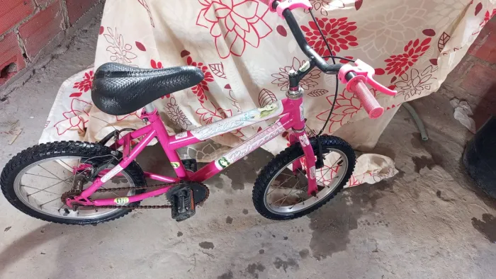 Bicicleta infantil no precinho