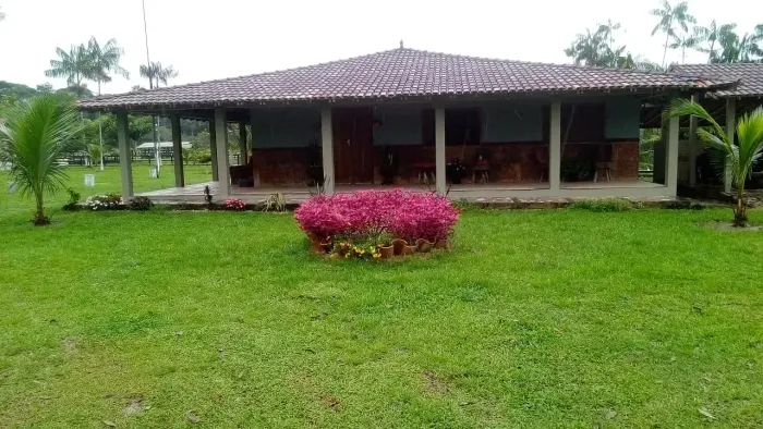 Fazenda/Haras em Santo Antônio do Tauá - 50 Hectares