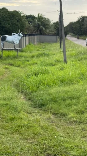 Granja