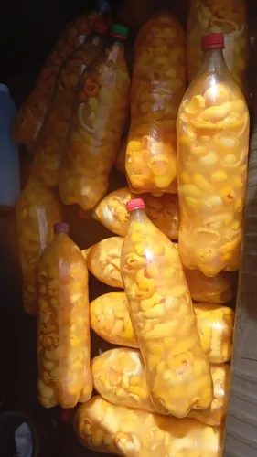 Pequis em conserva pet 2 L