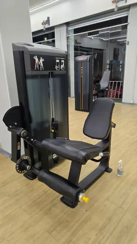 Cadeira extensora profissional
