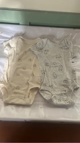 Body Carters