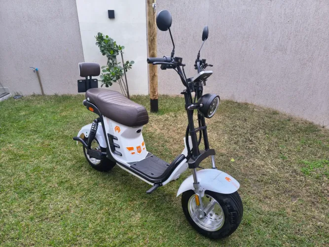 Bashi ebuddy x12