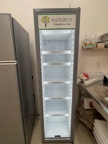 Expositora Vertical Esmaltec VV300 SL - 300 Litros - 220V