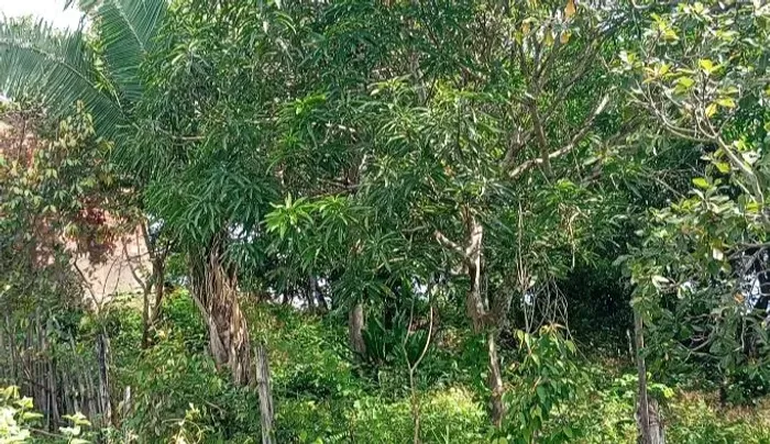 Vendo este terreno grande