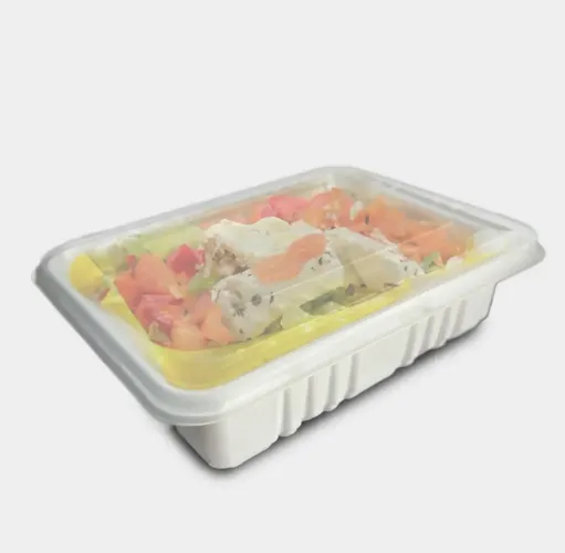 EMBALAGEM DESCARTÁVEL PREMIUM PARA MARMITAS E DELIVERY 10un.