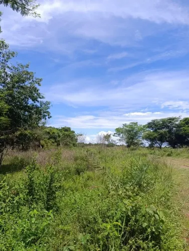 Vendo terreno no planalto são José