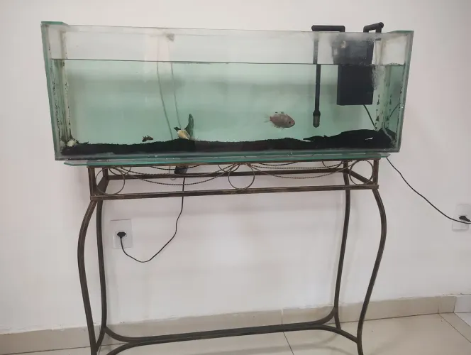 Venda, aquário completo