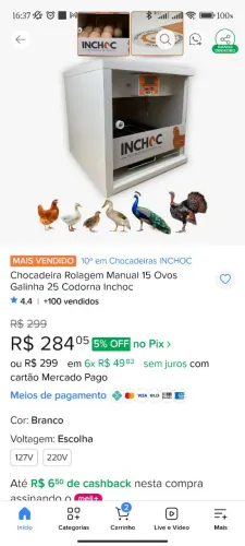 CHOCADEIRA INCHOC 