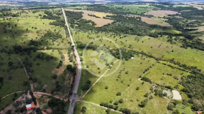 Fazenda / Sítio de 6 Alqueires e 28 litros em Cromínia codigo: 291978