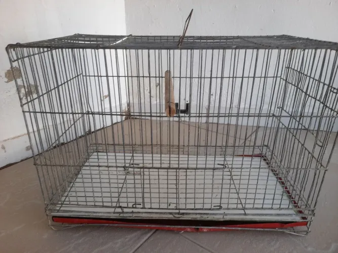 Gaiola para venda $90