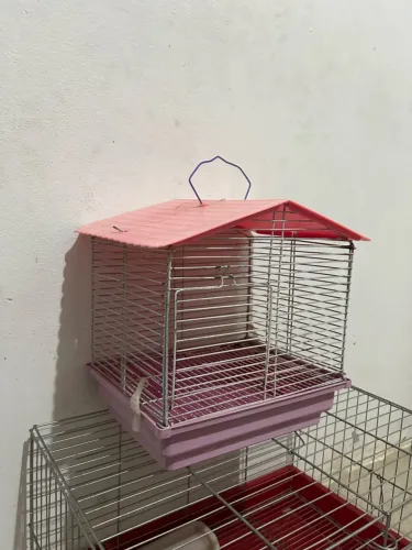 Gaiola pra hamster
