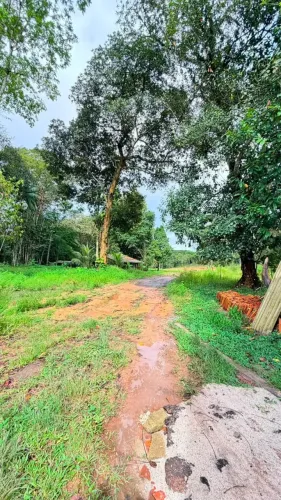 TERRENO COM 20.000 M² - EM BENEVIDES