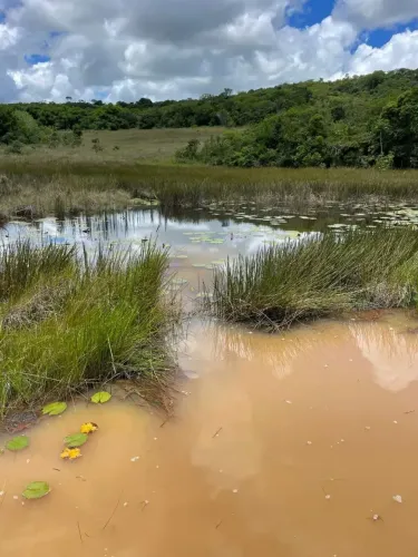 Fazenda com 126 hectares na região de Pedro velho-RN