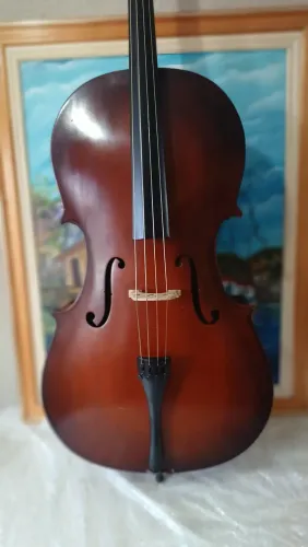 Violoncelo Oportunidade