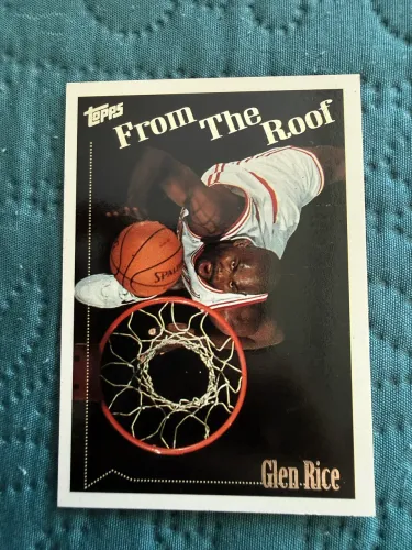 Glen Rice Topps 1994-95 #57 From the Roof Miami Heat