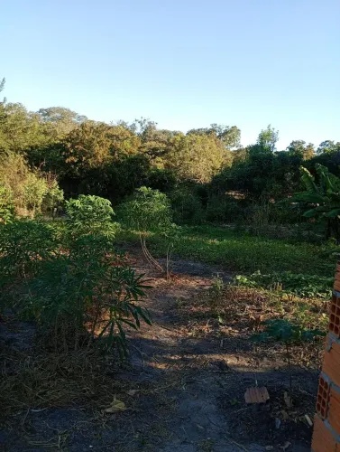 MINI CHÁCARA 2650m²