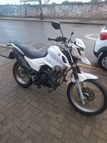 Yamara Crosser 2019