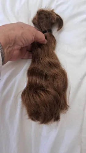 Cabelo humano