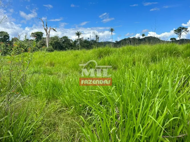 Fazenda em São Félix do Xingu PA. Área Total: 1.511 Hectares.