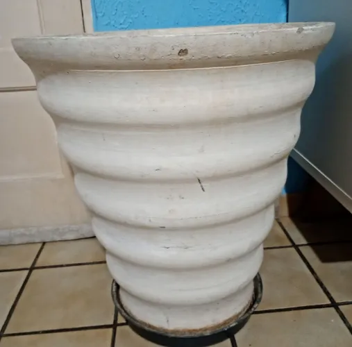 Vaso grande de cimento para planta