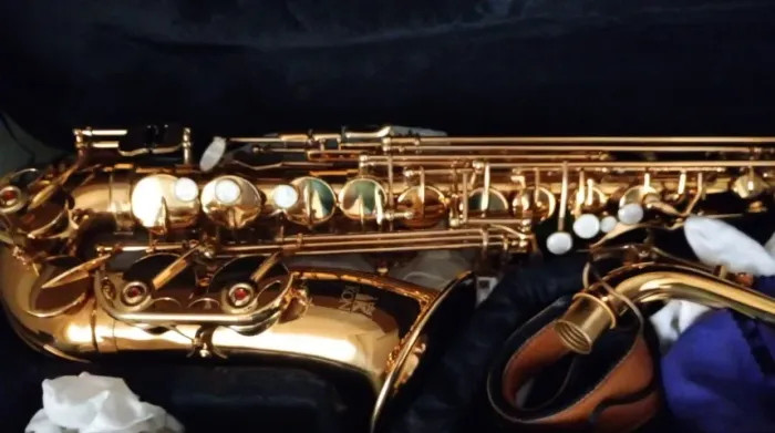 Saxofone Alto Konig