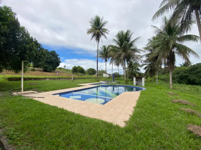 Localização privilegiada venda chácara São 8 tarefas distrito de Humildes 