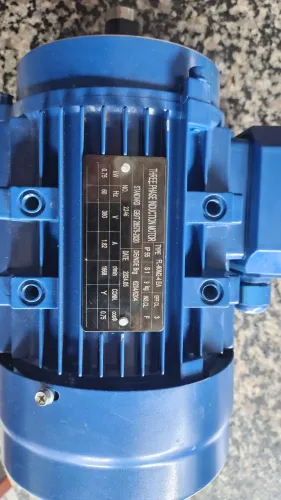 Motor Elétrico Trifásico 0,73 kW (1 CV) 380V