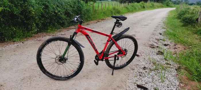 Bicicleta Absolute WILD