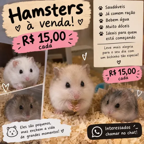 Hamster 