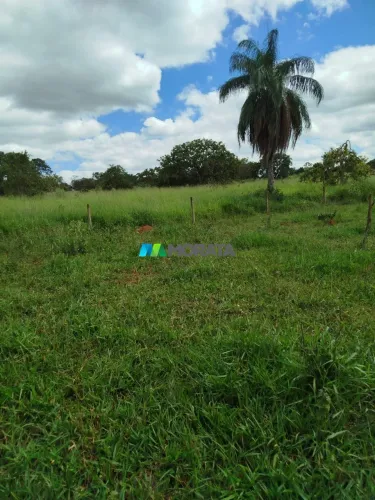 FAZENDA À VENDA - 167 HECTARES - ABAETÉ (MG)