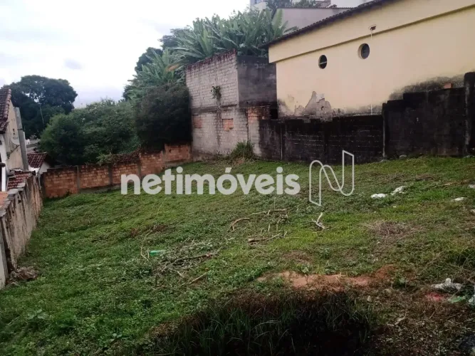 Venda Lote-Área-Terreno Padre Eustáquio Belo Horizonte