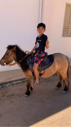 Pônei Bom de cela bom para crianças