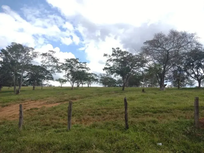 Vende-se Fazenda 73 hectares em Itapecerica/MG