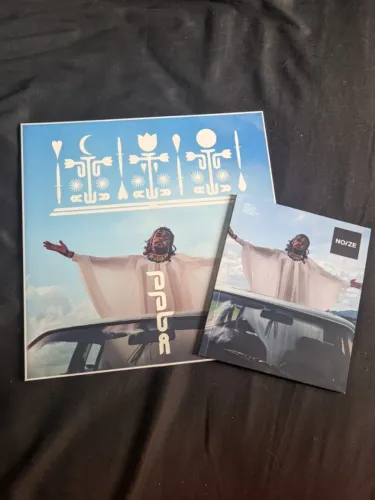 Vinil Lp Rico Dalasam Dolores Dala Guardião Do Alívio Noize